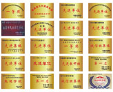 集團(tuán)榮譽(yù)