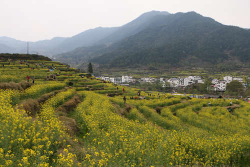 集团组织员工赴婺源和天梁山旅游