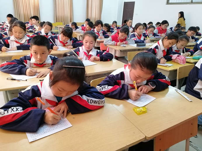 IMG_20181130_143237.jpg IMG_20181130_143237.jpg