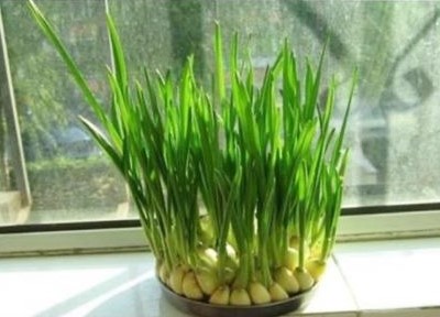 10 - 副本.jpg 10 - 副本.jpg