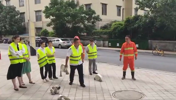 微信图片_20200717085000_副本.png